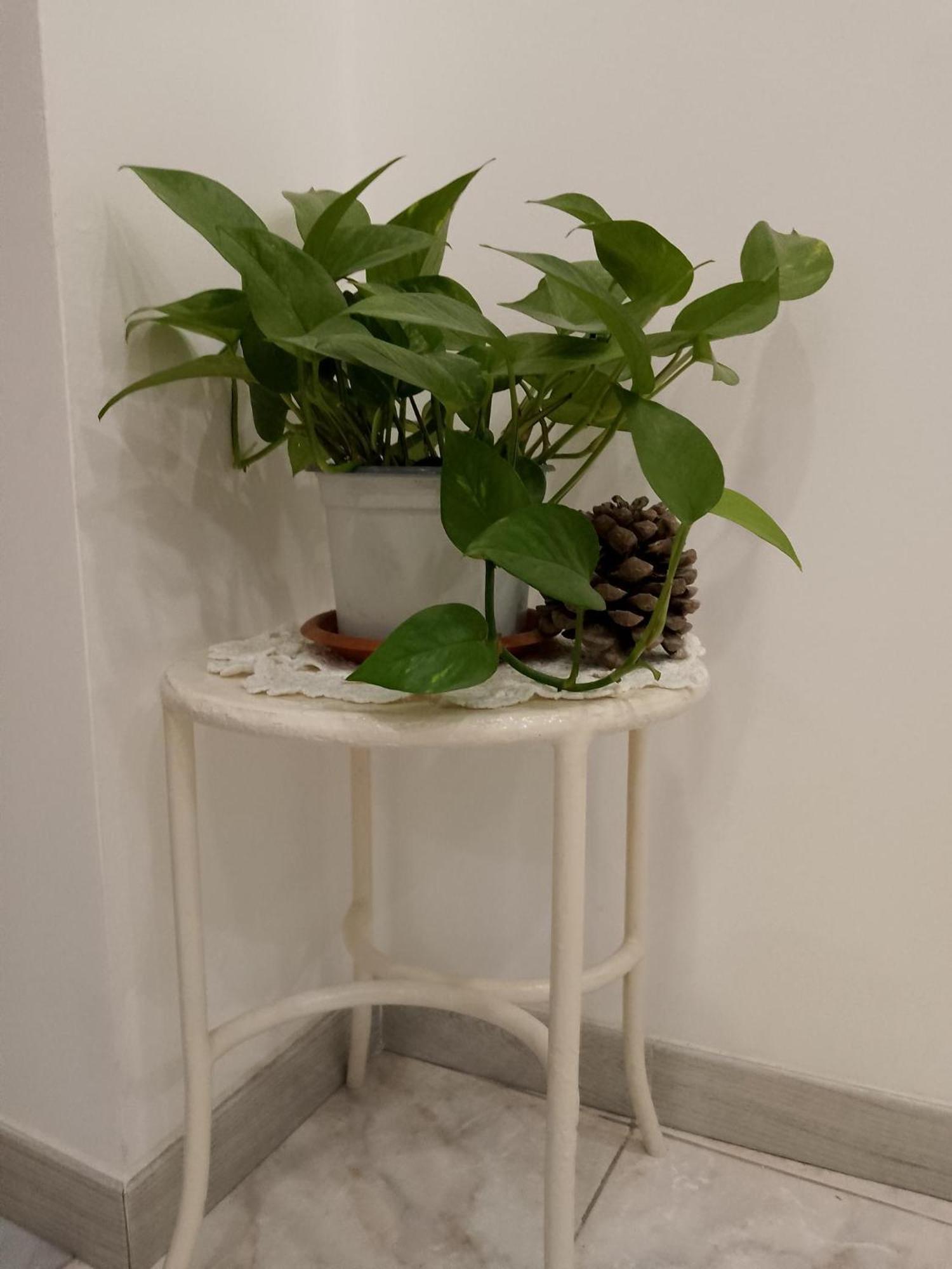 Le Casette Di Nonna Rosa In Fontanarossa Catania Airport Exterior foto